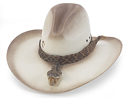 Cowboy Hats in History - Charlie 1 Horse